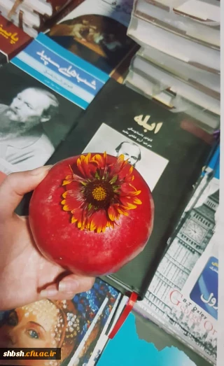 دانشجومعلم سیده مریم میر هاشمی منتخب مسابقه عکاسی ( هفته کتاب)