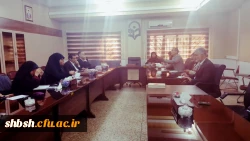 جلسه کارگاهی و پنل مشترک  آسیب شناسی پایان نامه های کارشناسی ارشد  3