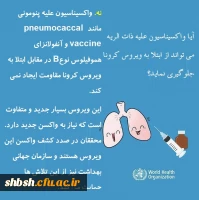 پاسخ سازمان جهانی بهداشت (WHO) درخصوص برخی باورها درمورد ویروس کرونا 8