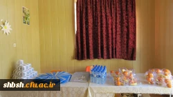 اولین همایش استانی انجمن ورزش خوابگاهی دانشجویی استان فارس به میزبانی پردیس شهید باهنر فارس برگزار شد 3