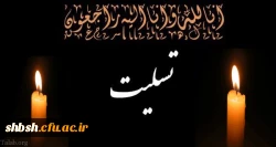 پیام تسلیت درگذت مادر دانشجومعلم، عاطفه باقری 2