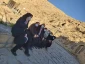 برنامه کوهپیمایی ویژه کارکنان به مناسبت گرامیداشت هفته تربیت بدنی انجام شد 2