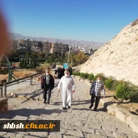 برنامه کوهپیمایی ویژه کارکنان به مناسبت گرامیداشت هفته تربیت بدنی انجام شد 4