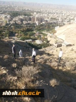 برنامه کوهپیمایی ویژه کارکنان به مناسبت گرامیداشت هفته تربیت بدنی انجام شد 5