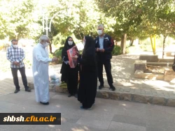 برنامه کوهپیمایی ویژه کارکنان به مناسبت گرامیداشت هفته تربیت بدنی انجام شد 8