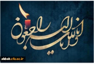 انا لله و انا الیه راجعون
همکار ارجمند سرکارخانم رضایی معاون محترم آموزشی،پژوهشی و فرهنگی پردیس شهید باهنر فارس