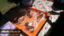 برگزاری مراسم جشن بمناسبت مبعث حضرت محمد (صلی الله علیه و آله و سلم) و اعیاد شعبانیه در پردیس شهید باهنر شیراز 3