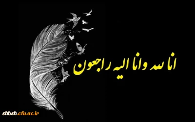 پیام تسلیت به دانشجو معلم فاطمه قهرمانی