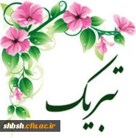 کسب مقام اول جشنواره کشوری طنز ورزشی توسط دانشجو معلم زهرا حیدری 2