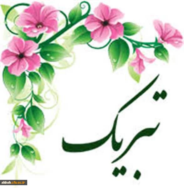 کسب مقام اول جشنواره کشوری طنز ورزشی توسط دانشجو معلم زهرا حیدری 2