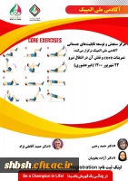 تمرینات-core-و-نقش-آن-در-انتقال-نیر