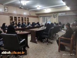 برگزاری جلسه به مناسبت وفات حضرت ام البنین بانوی فداکار اسلام و روز تکریم از مادران و همسران شهدا  5