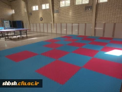 اماکن و سالن های ورزشی  2