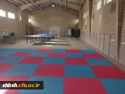 اماکن و سالن های ورزشی  3