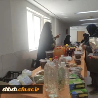 برگزاری نمایشگاه حجاب و عفاف به مناسبت گرامی داشت هفته سراهای دانشجویی 9