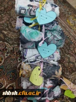 روابط عمومی دانشگاه فرهنگیان پردیس شهید باهنر فارس 10