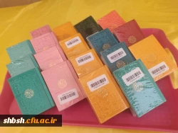 برگزاری کارگاه آموزشی کتاب مدیریت خانواده و سبک زندگی در دانشگاه فرهنگیان استان فارس 3