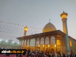 برگزاری کارگاه آموزشی پیشگیری رشد مدار در دانشگاه فرهنگیان استان فارس 8