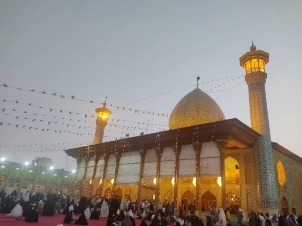 برگزاری کارگاه آموزشی پیشگیری رشد مدار در دانشگاه فرهنگیان استان فارس 8