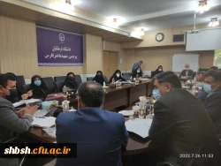 برگزاری جلسه کمیته ویژه ساماندهی و کیفیت بخشی فضا و تجهیزات سراها و اماکن رفاهی دانشجویی 3