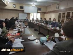 برگزاری جلسه کمیته ویژه ساماندهی و کیفیت بخشی فضا و تجهیزات سراها و اماکن رفاهی دانشجویی 4