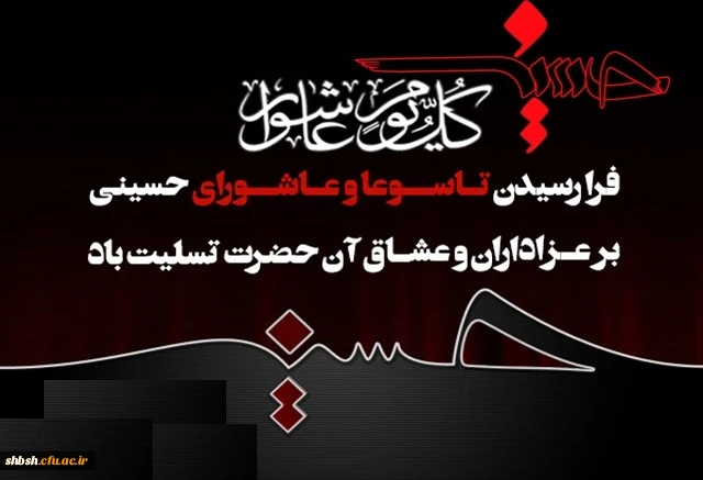 روابط عمومی دانشگاه فرهنگیان پردیس شهید باهنر فارس 2