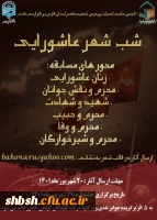 برگزاری سومین شب شعر عاشورایی در پردیس شهید باهنر فارس 14