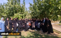 برگزاری برنامه پیاده روی به مناسبت هفته تربیت بدنی با حضور کارکنان و دانشجومعلمان پردیس شهید باهنر  7