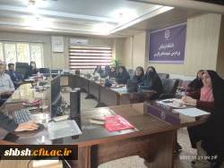 کارگاه راهبرد های جستجو در اینترنت با حضور اعضای هیئت علمی پردیس شهید باهنر 4