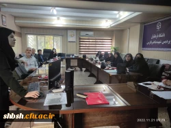 کارگاه راهبرد های جستجو در اینترنت با حضور اعضای هیئت علمی پردیس شهید باهنر 5