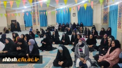 برگزاری جشن میلاد حضرت زینب (سلام الله علیها)  5