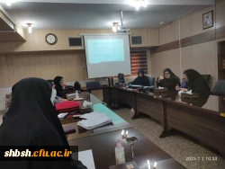 برگزاری نشست تخصصی روش تحقیق پدیدار شناسانه در علوم پایه 2