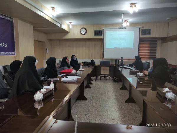 برگزاری نشست تخصصی روش تحقیق پدیدار شناسانه در علوم پایه 3