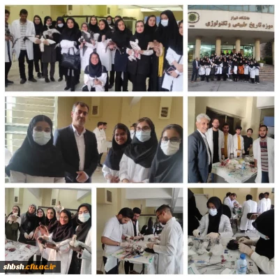 کارگاه تاکسیدرمی برگزار شد