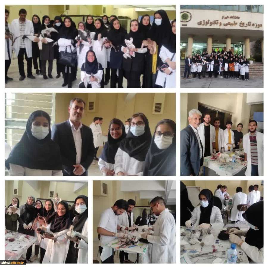 کارگاه تاکسیدرمی برگزار شد

 2