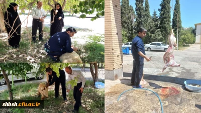 به همت کارکنان، اساتید و دانشجویان پردیس شهید باهنر انجام شد

قربانی گوسفند به مناسبت عید سعید قربان