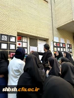 برگزاری ژوژمان مبانی هنرهای بصری دانشجومعلمان رشته هنرهای تجسمی پردیس شهید باهنر فارس 8