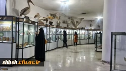 برگزاری سومین همایش ملی دانش (موضوعی-تربیتی) در آموزش زیست شناسی در دانشگاه فرهنگیان فارس - پردیس شهید باهنر 13