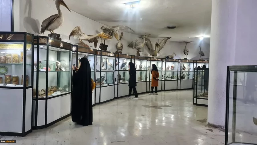 برگزاری سومین همایش ملی دانش (موضوعی-تربیتی) در آموزش زیست شناسی در دانشگاه فرهنگیان فارس - پردیس شهید باهنر 13