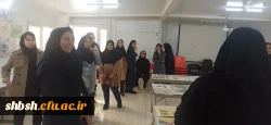 ژوژمان پایانی دانشجو معلمان رشته هنر پردیس شهید باهنر فارس 9