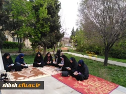 قرائت سوره مبارکه یاسین بر سر قبور مطهر شهدای گمنام پردیس شهید باهنر 4