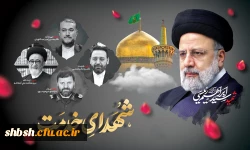 رئیس جمهور محبوب ملت در راه خدمت به مردم به شهادت رسید 2