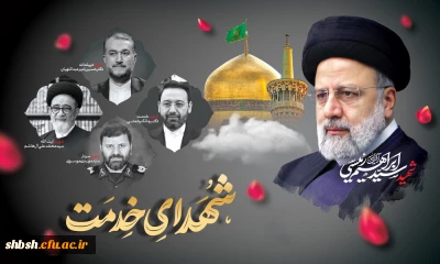 رئیس جمهور محبوب ملت در راه خدمت به مردم به شهادت رسید