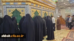 سومین دوره ی طرح حامیم در دانشگاه فرهنگیان استان فارس برگزار شد.  4